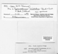 Image Associated With the Occurence